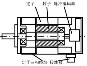 91视频免费看污电机